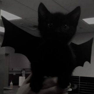 здесь уютно?