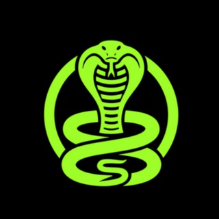 Cobra Music // Продвижение артистов