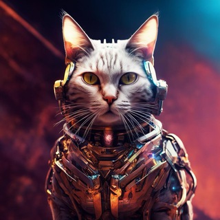 CodeConv | CTO backlog