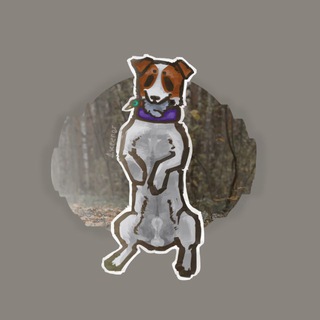 великобританец🇬🇧