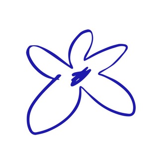 juno bakery & flowers