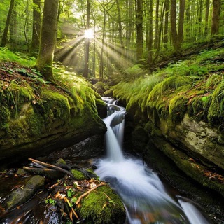 Течение Холодной Реки