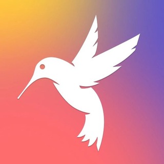 Колибри кидс - детская одежда малышам и подросткам