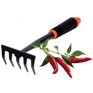 Coltivazione &amp; Consigli