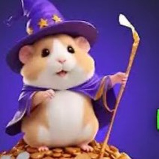 Hamster Kombat | Шифры | Combo комбинация!