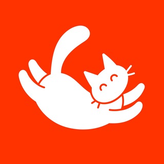 Commotion | одежда с вышивкой