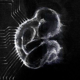 concept. | the vibe hunt