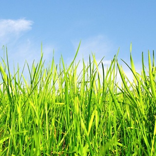 Контакт с Тонким Миром