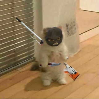 Игроки контраструйка