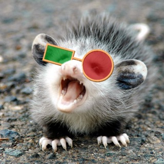 Континуум дрейфа