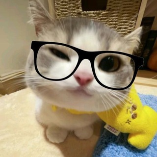 It's a im crime💀🤡