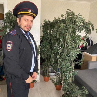 Трэш, угар и вызова