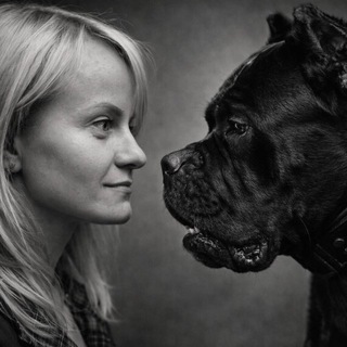 Тележка кинолога/ дрессировка, решение поведенческих проблем, nosework