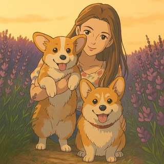 Корги Talisman Vasilisy