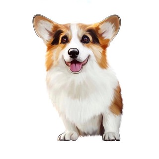 corgosha