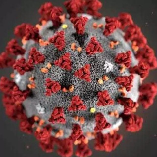 Коронавирус COVID юмор и картинки