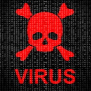 Coronavirus Pandemic News COVID-19