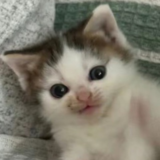 Косметика и Буся