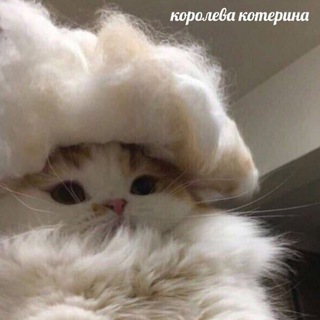 Оригинальная косметика & парфюмерия & аксессуары♥️