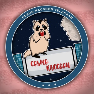 CosmoRaccoon 🚀