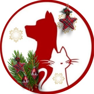 Ковчег 33 Владимир