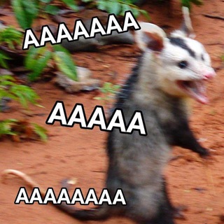 K-Сover Battle SaintP