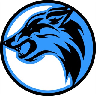 COYOTE | Одежда и обувь | ОМСК