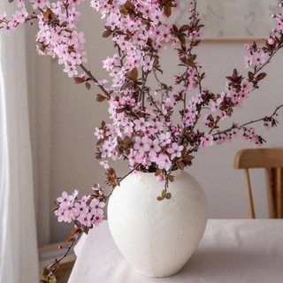 Уютный дом 🏡🌿