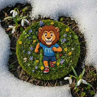 МИНИСТЕРСТВО ФИЗИЧЕСКОЙ КУЛЬТУРЫ И СПОРТА ВЛАДИМИРСКОЙ ОБЛАСТИ