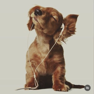 мысли с трещинкой ✧˚