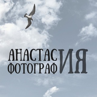 Творение в кадре | НастЯящие фото 📷