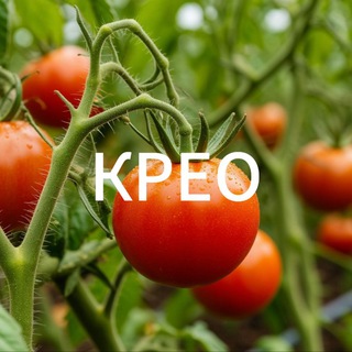 Укрывные материалы от КРЕО