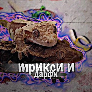 гекконы под дозой"