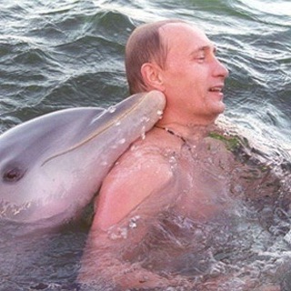 На гребне волны. 2026