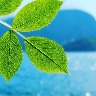 Туристический чат Крыма