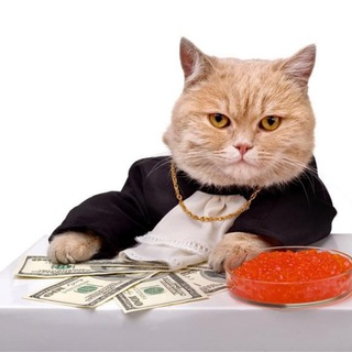 Cripto Millioner от 250 $. Канал на 1 000 000 $. Выгодные и надежные инвестиции.