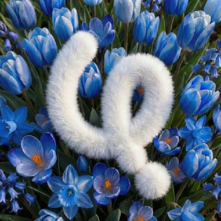 Агентство будущего | ЦРС