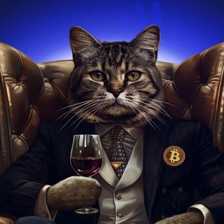 КриптоКот 🐈 CryptoCat