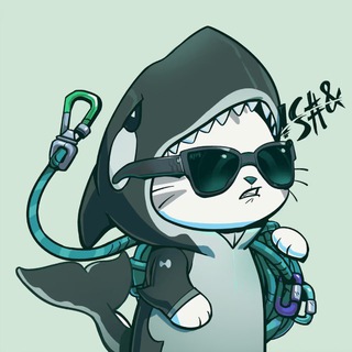 Я работаю в криптовалюте 🫠