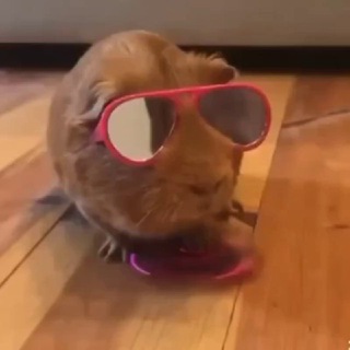 Кри, что? Крипта.