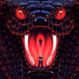 Crypto Cobras Chat