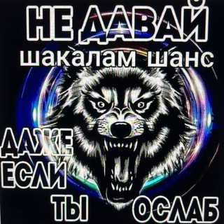 Крипто Струя Перезагрузка