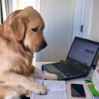 Скелет лудоман