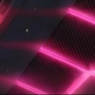 Криптосука