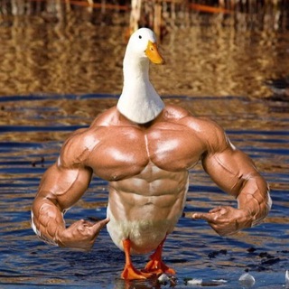 VINT CS2 промокоды в STANDOFF 2 @BepTr @Cheat134 @advent85