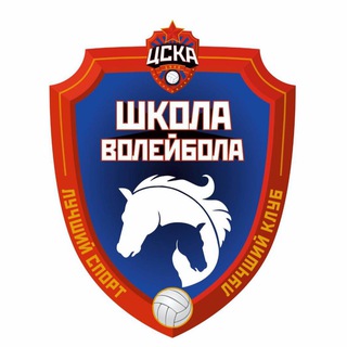 Школа волейбола