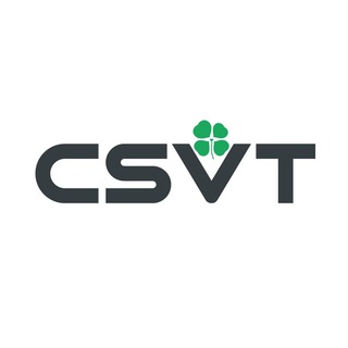 CSVT: свет и потолки