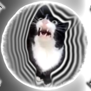 Кот Борис'с даэри | MikeSorrow