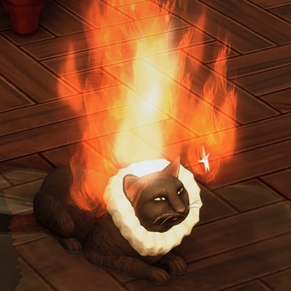 Бубылдер вещает