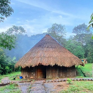 Ретритный центр ‘Cumbres de Arutam’ Айяуаска Эквадор